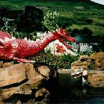 Dragon Feature