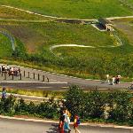 The Toboggan