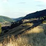 Hilly & Messy