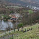 Festival Lake