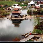 Festival Lake