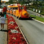 The Land Train