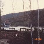 The Lake